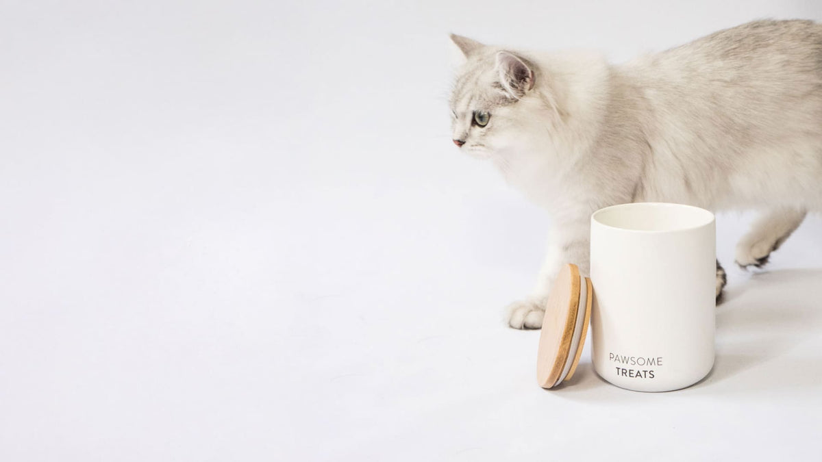 SNACK BAR Kattenvoer & Traktatieblik