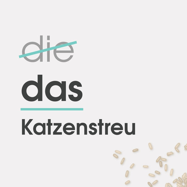 DAS Katzenstreu: waarom we het Duitse woordenboek uitdagen