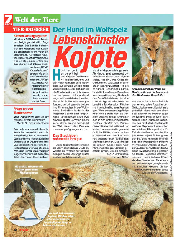 7 Tage - 22. Januar 2022