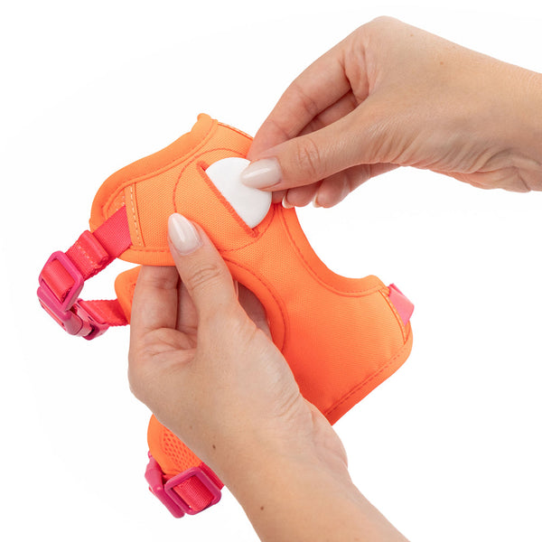 AirTag am Katzengeschirr – smart oder sinnlos?