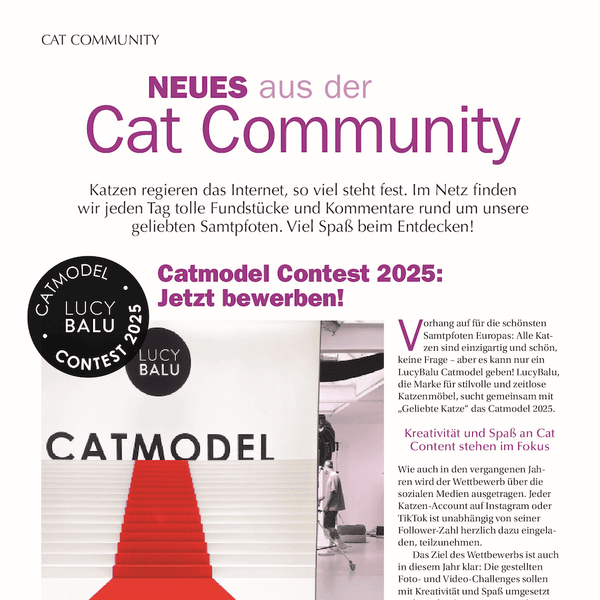 Geliebte Katze - Catmodel Ankündigung - Mai 2025
