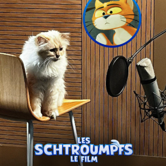 Wie heißt die Katze von Gargamel?