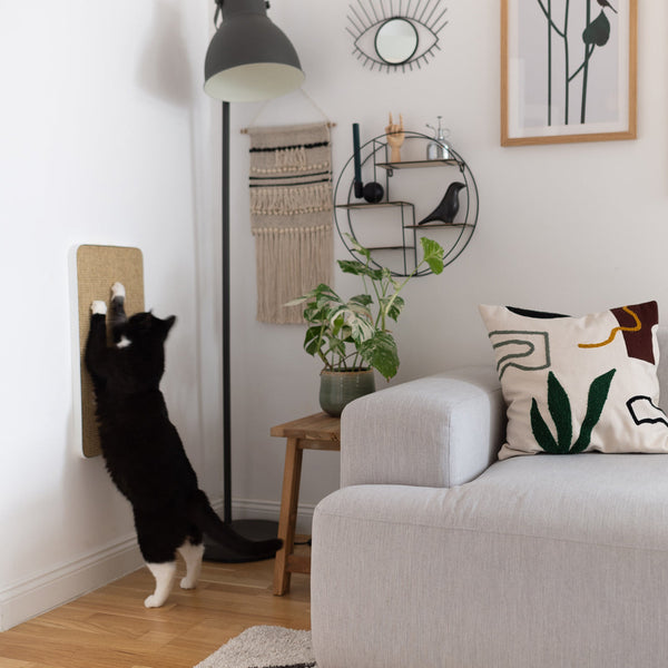 Wie alt werden Katzen?