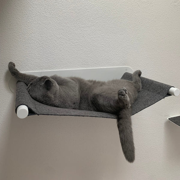 LucyBalu für ältere Katzen: so klappt's