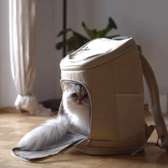 Aufgesattelt! Mit dem HOP-ON Katzenrucksack unterwegs