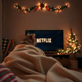 Binge-watching avec du ronron : les chats conquièrent le monde des séries