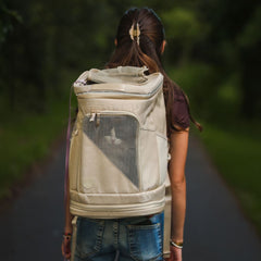 Pack die Katze ein! So wird Reisen plötzlich ganz entspannt