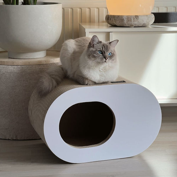 Warum Katzen Kartons lieben – und PAPERCAVE perfekt ist