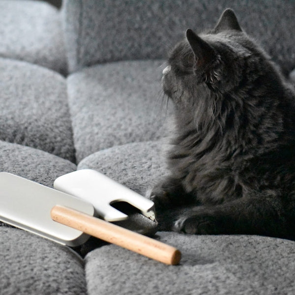 Tipps und Tricks für eine saubere Wohnung mit Katze: