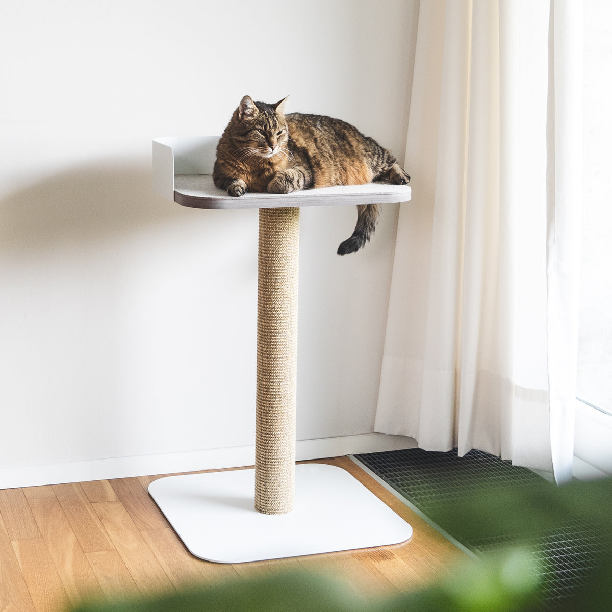 Katzenmöbel