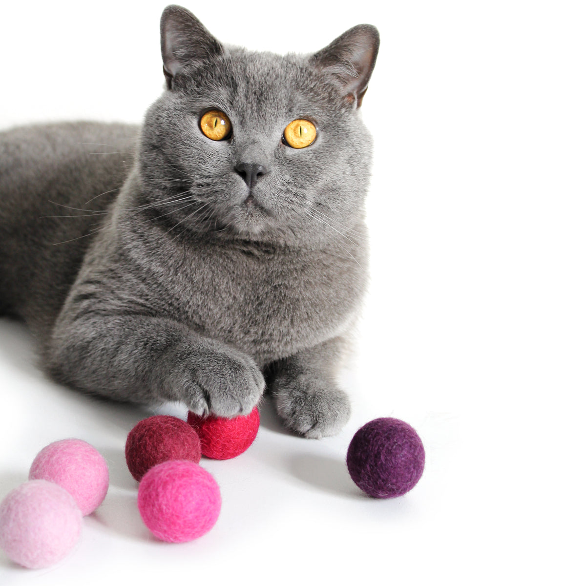 Spielzeug für Katzen