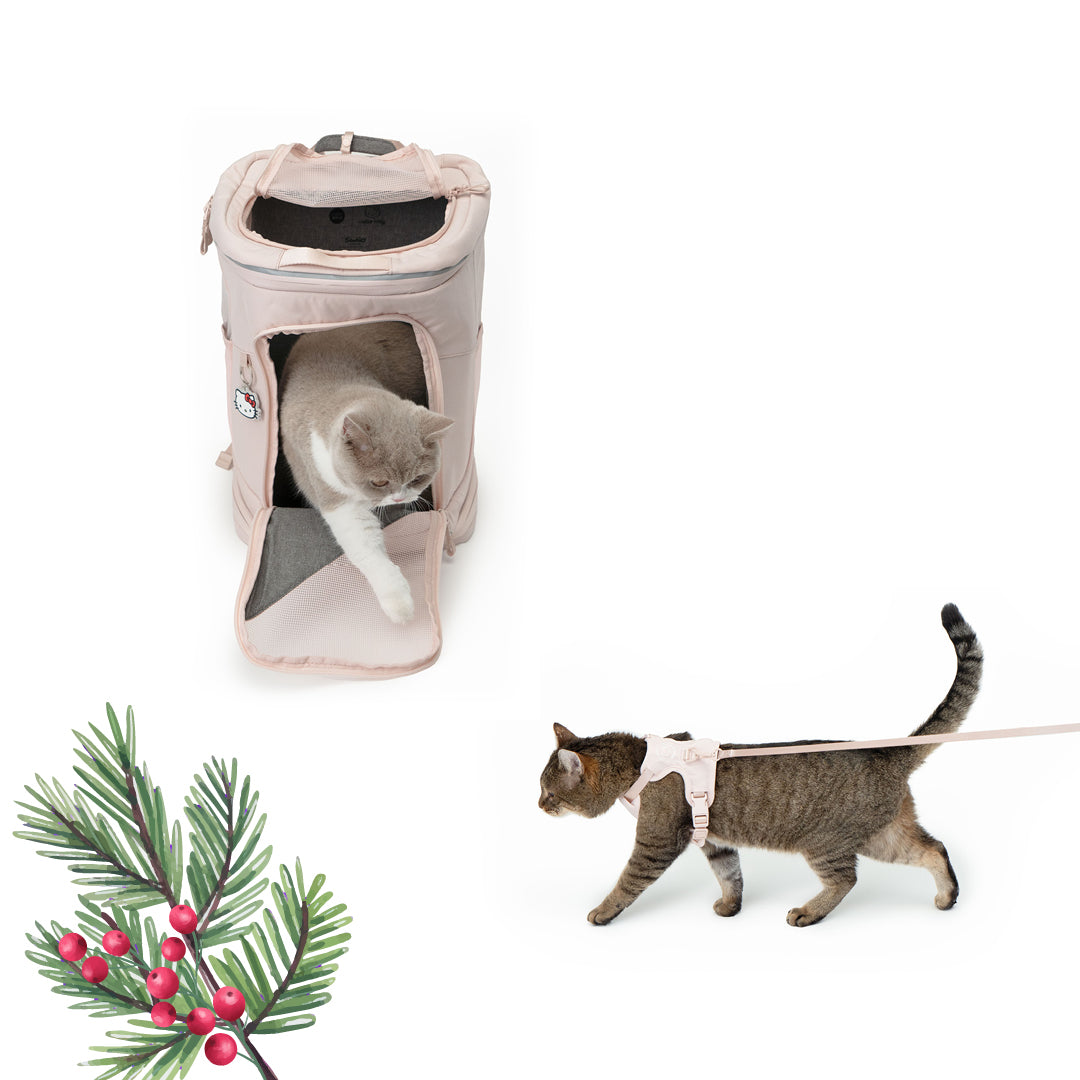 Carry & Explore Set - Hello Kitty Editie