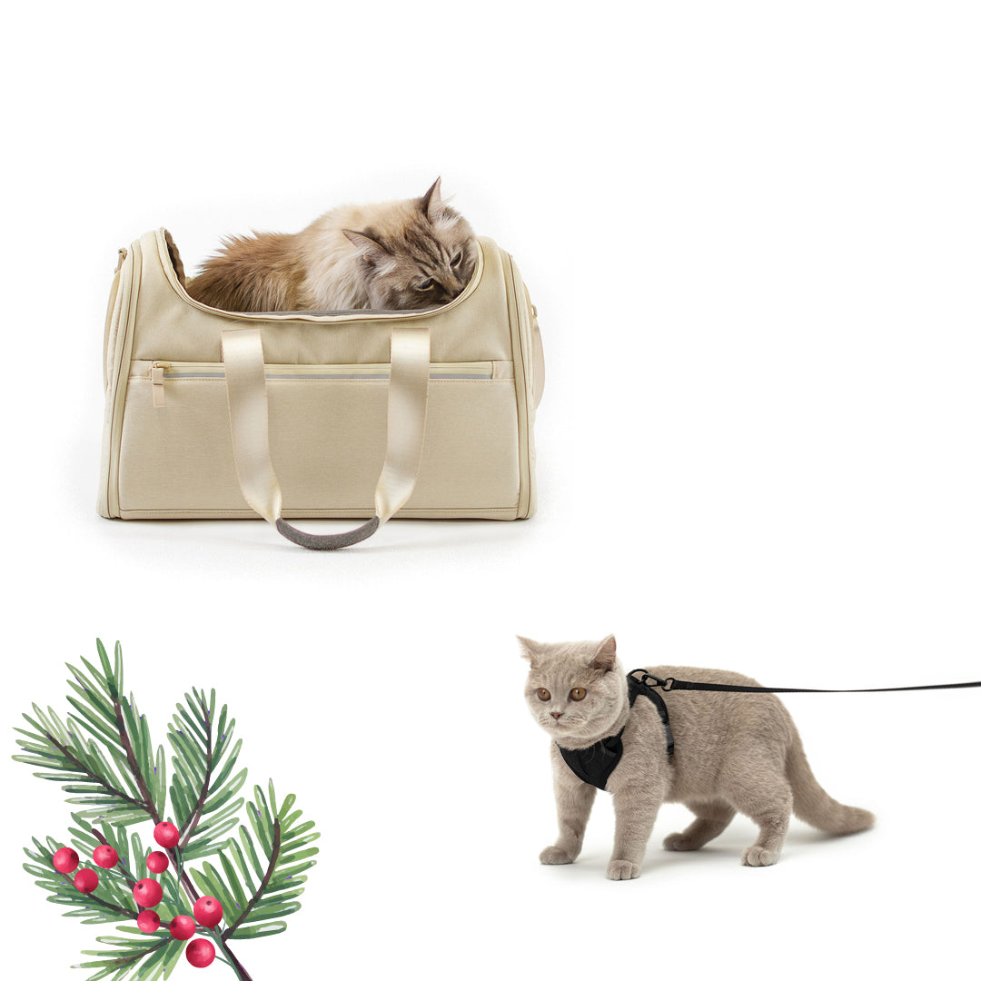 Travel & Explore Set