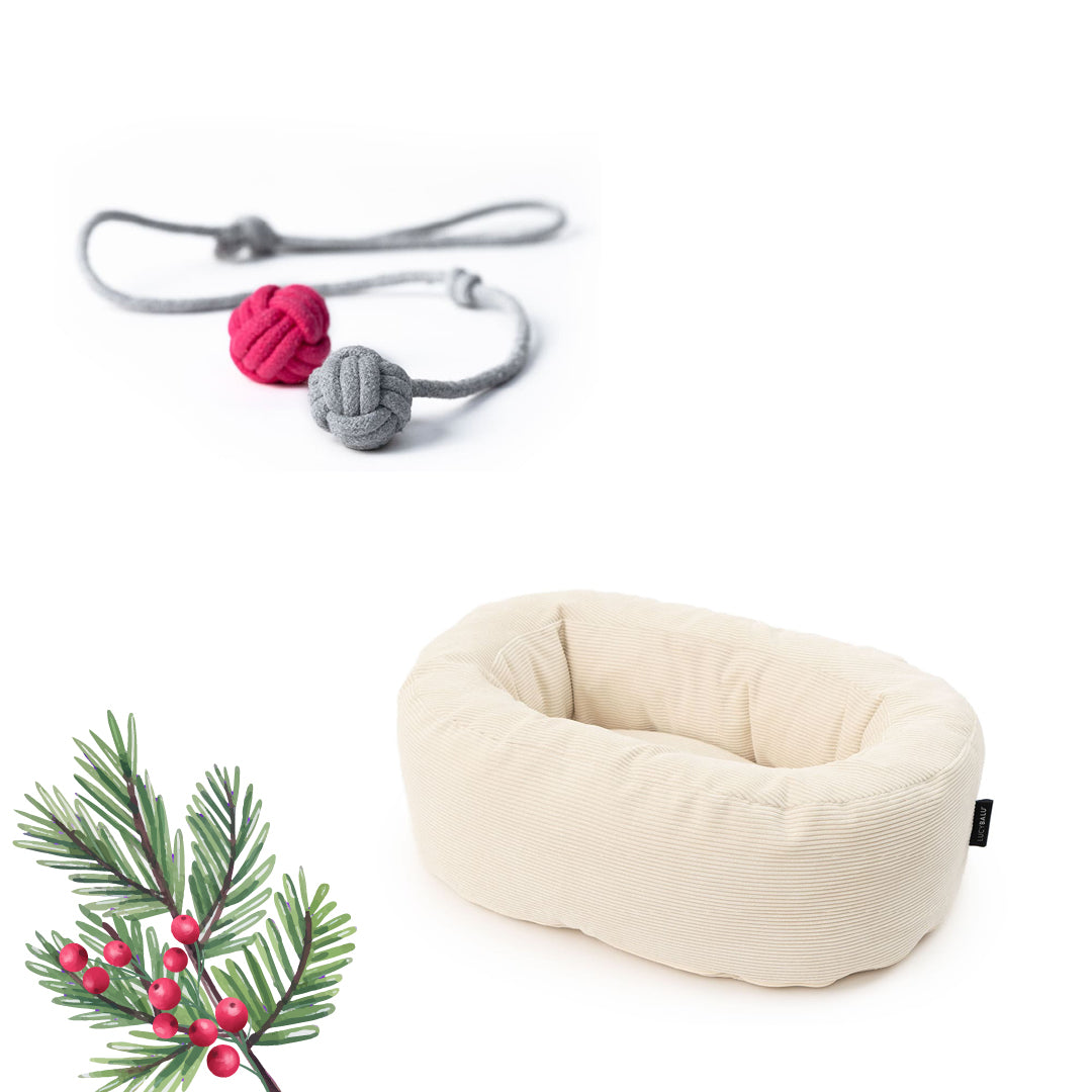 Kattenbed & Speelset