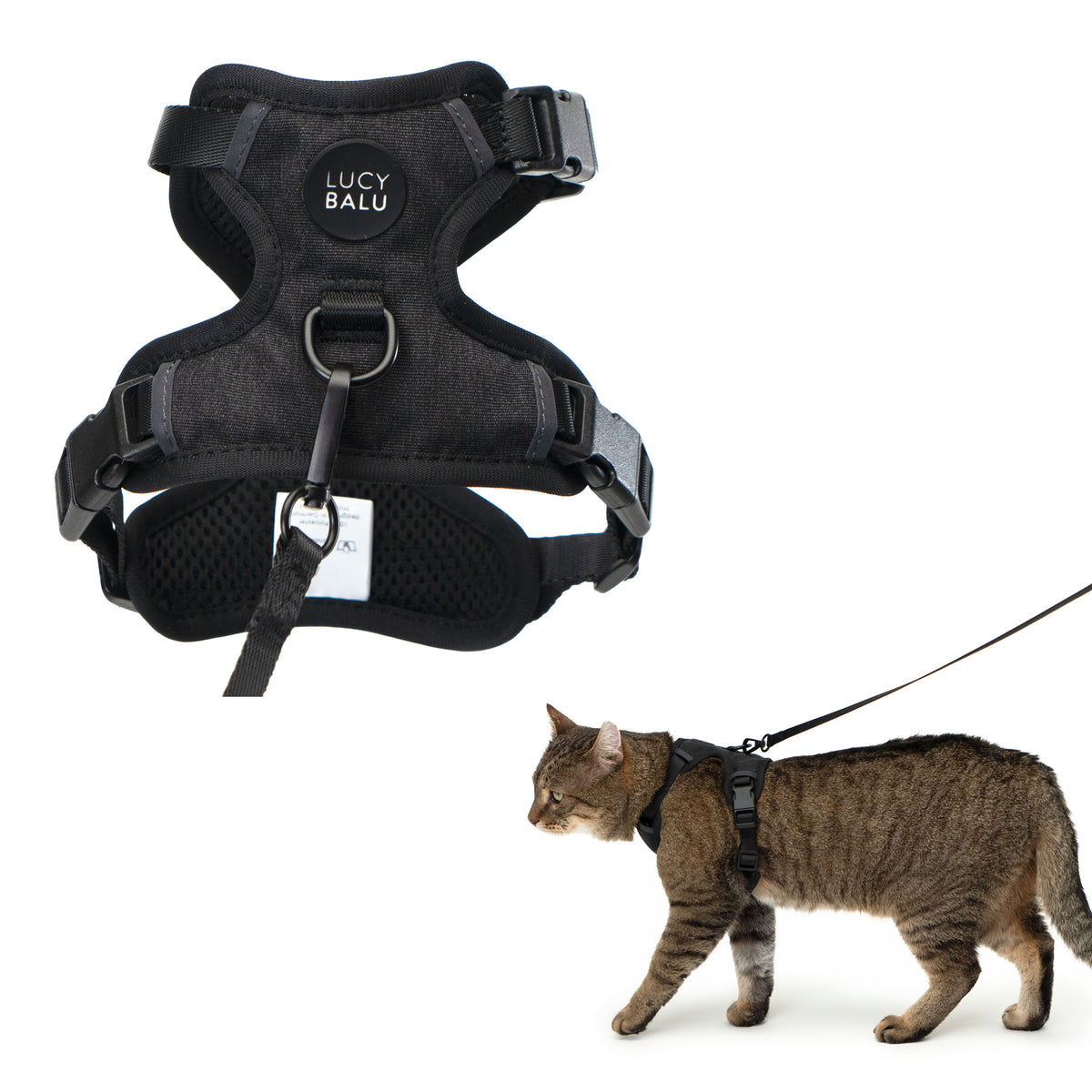 EXPLORER Katzengeschirr