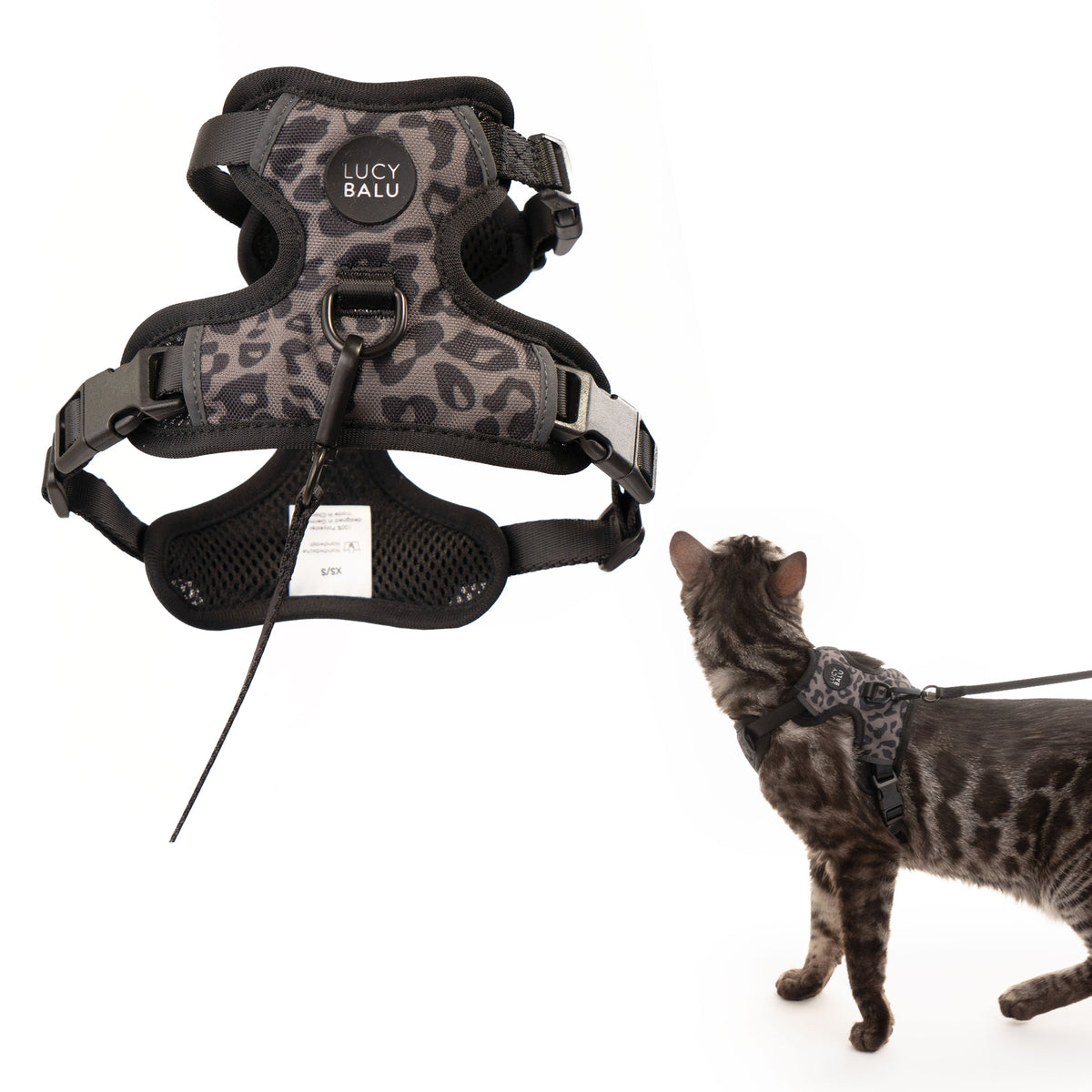 EXPLORER Katzengeschirr
