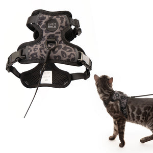 EXPLORER Katzengeschirr