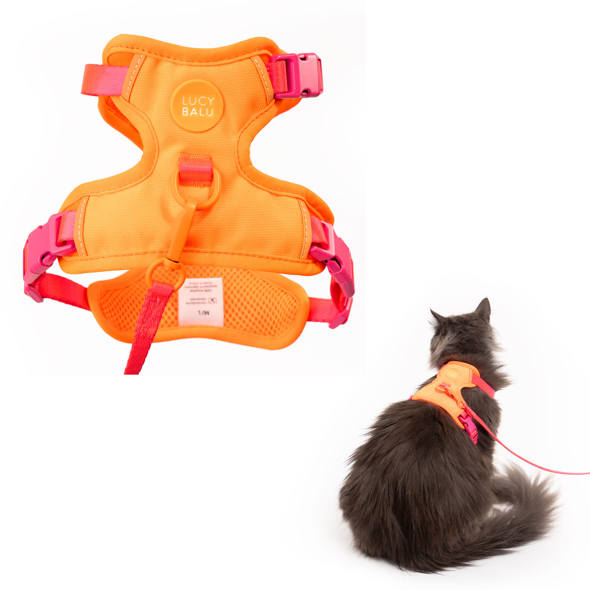 EXPLORER Katzengeschirr
