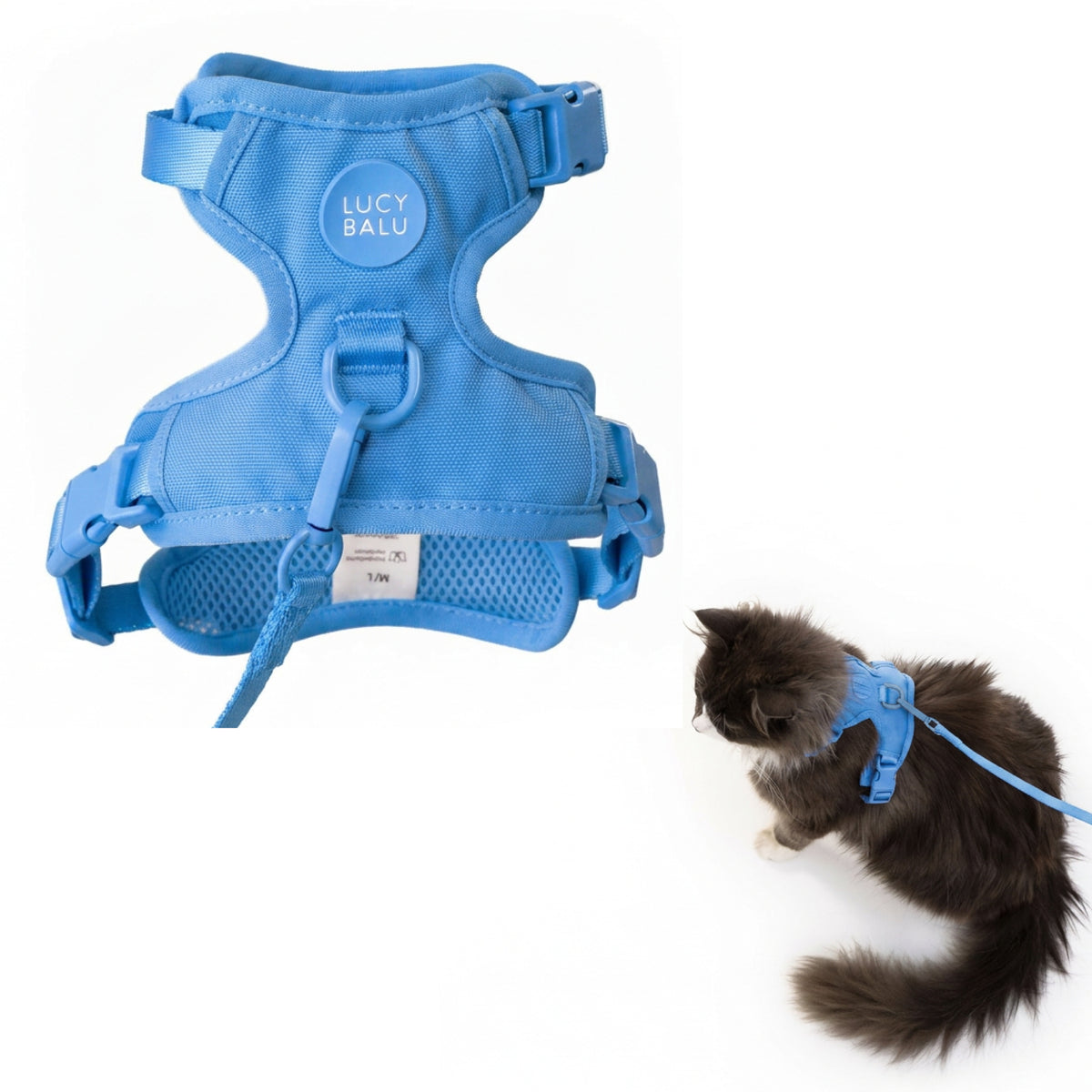 EXPLORER Katzengeschirr