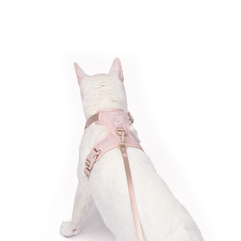 EXPLORER Katzengeschirr - Hello Kitty Edition