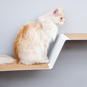 Outlet: WAVE Cat step XXL