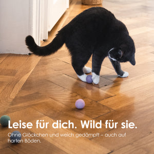 RAINBOW BALLS balles en feutre