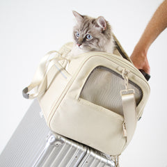Transport