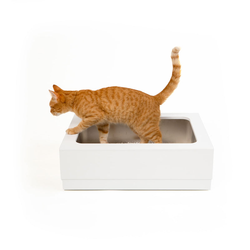 LOOLOO Katzentoilette