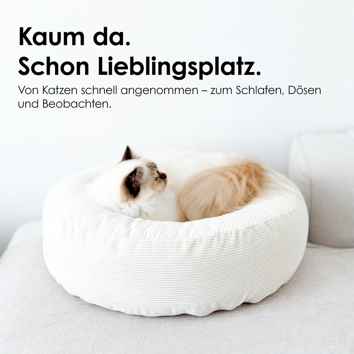 NEST kattenmand