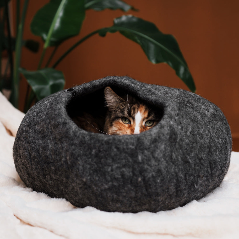 Grotte pour chat en feutre, design