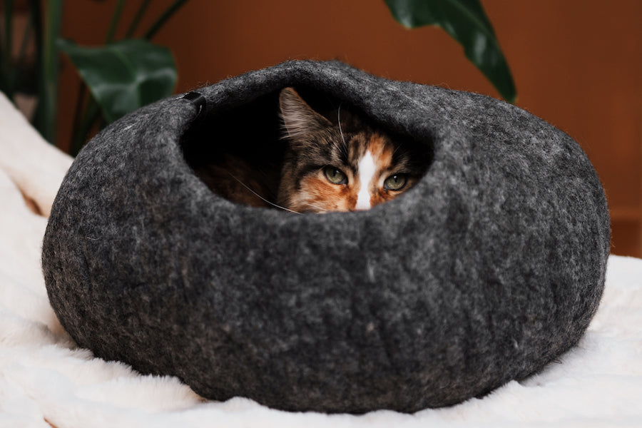 Katzenhöhle aus natürlichem Filz