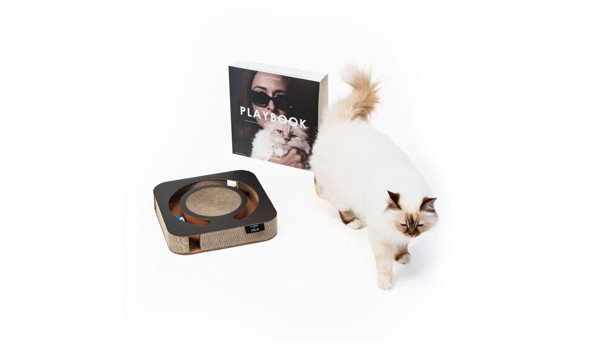 PLAYBOOK Interaktives Spielzeug | Choupette Edition