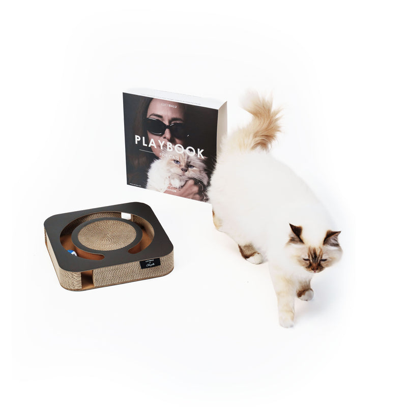 PLAYBOOK Interaktives Spielzeug | Choupette Edition