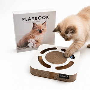 PLAYBOOK jouet interactif
