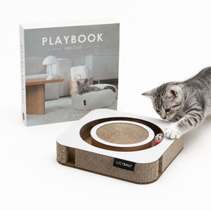 PLAYBOOK jouet interactif