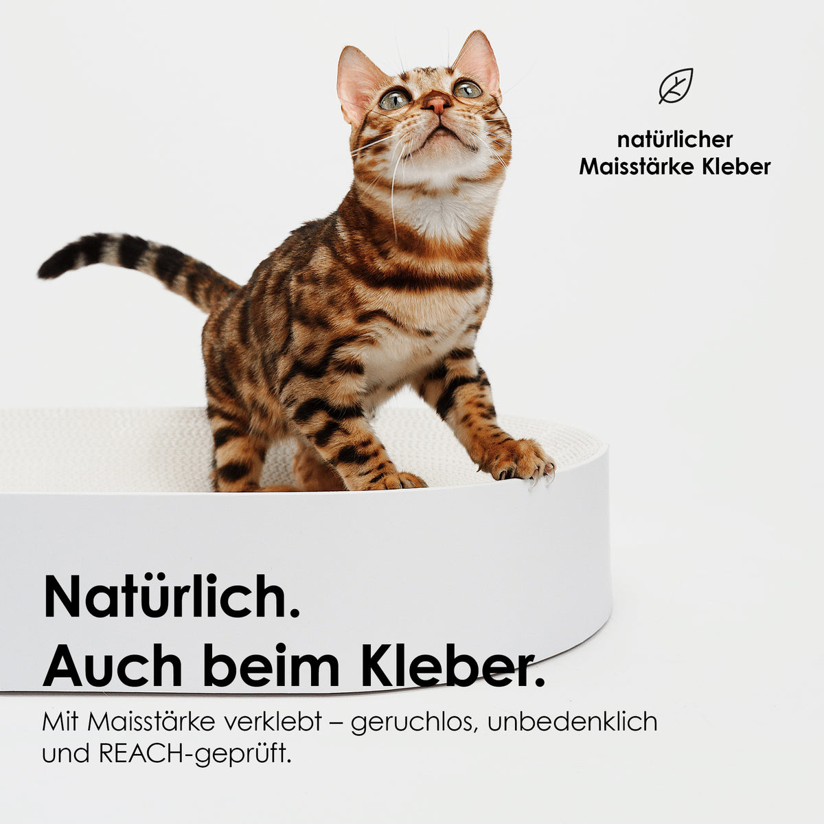 SCRATCHBED panier en carton