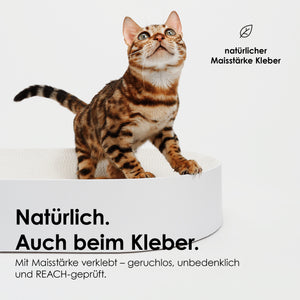 SCRATCHBED panier en carton