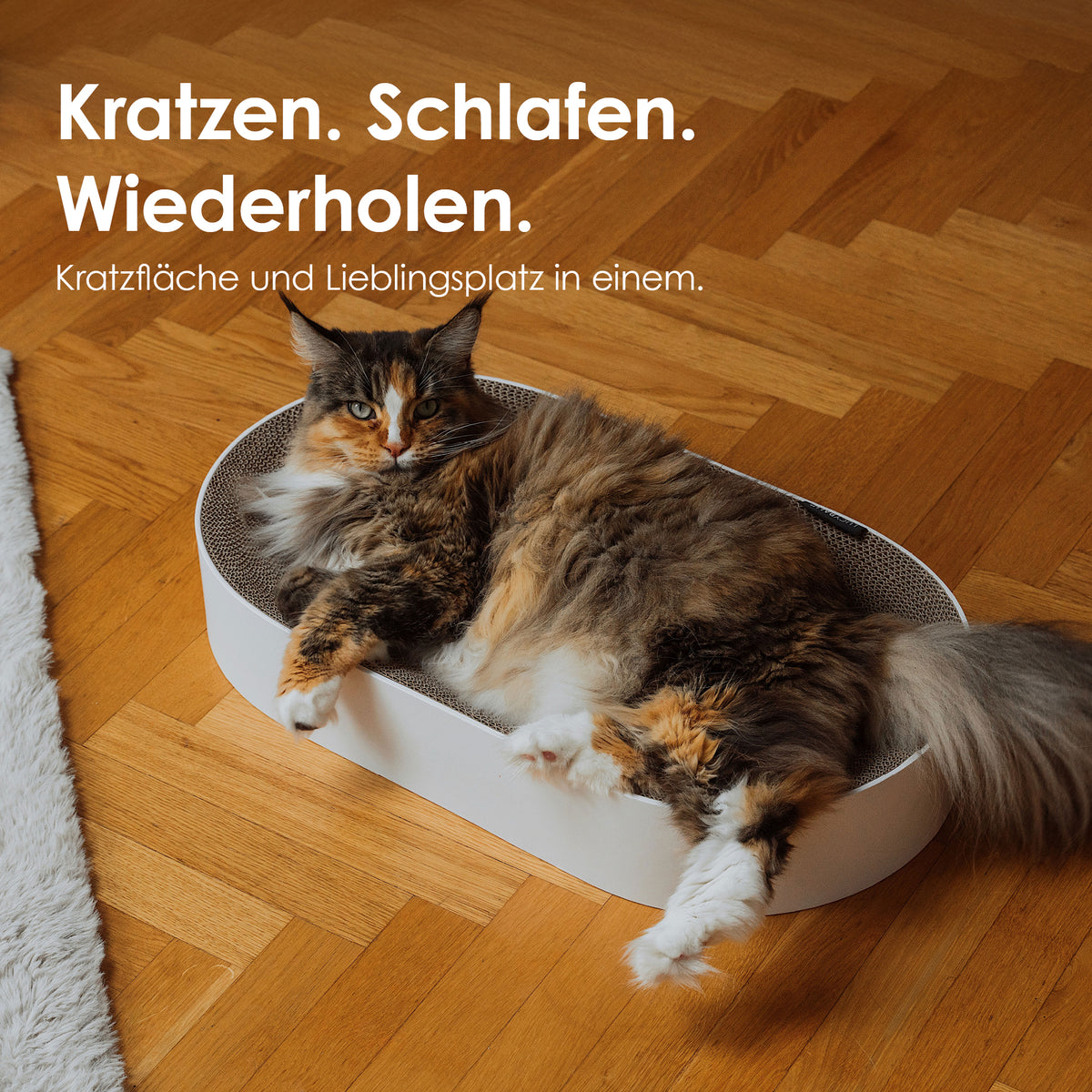 SCRATCHBED panier en carton