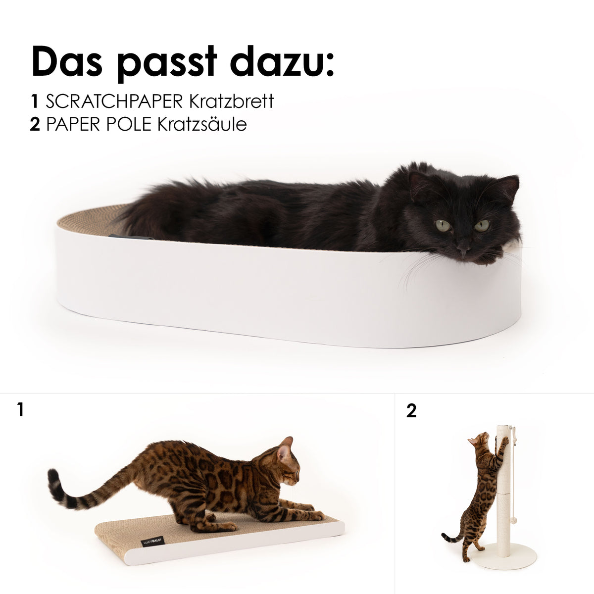 SCRATCHBED panier en carton