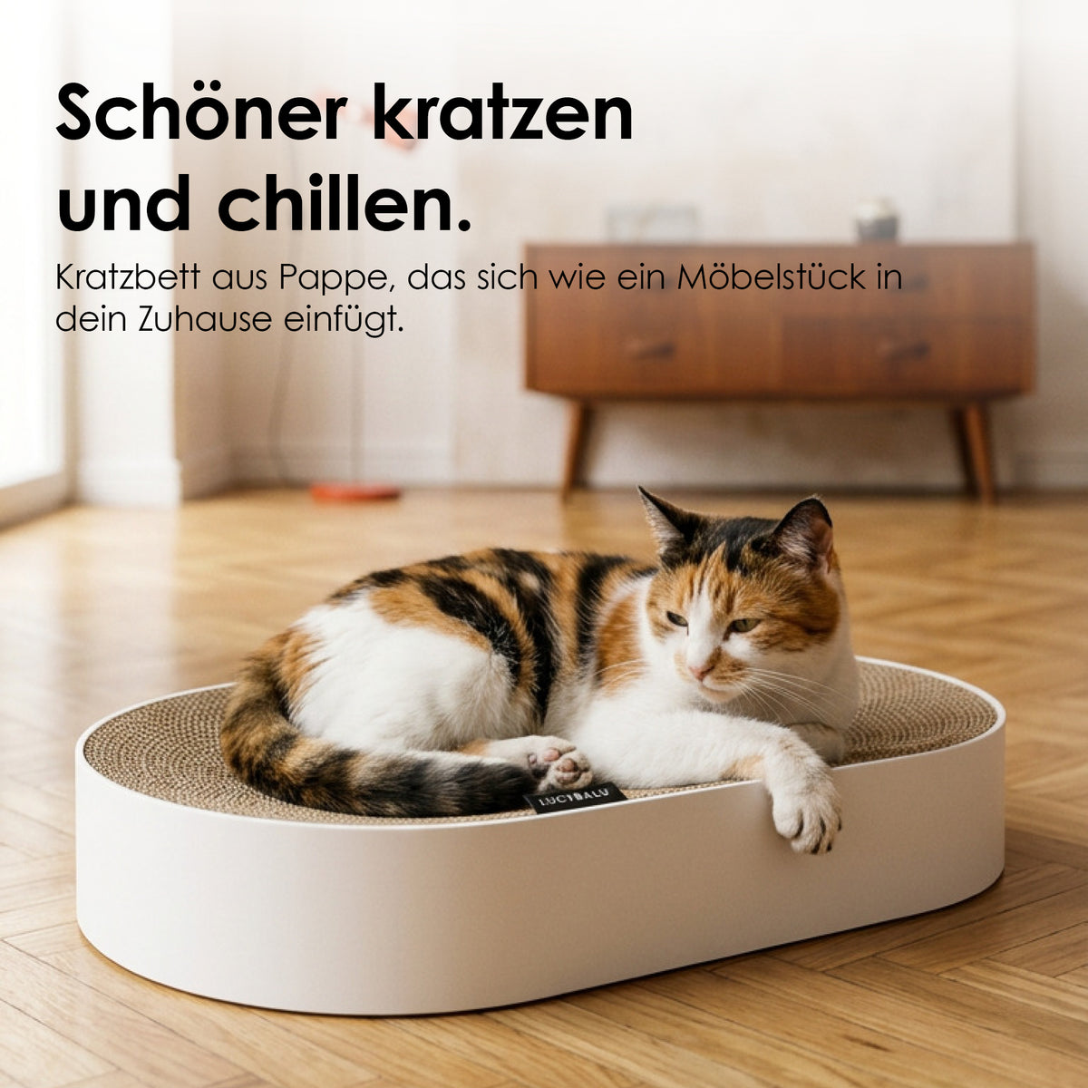 SCRATCHBED panier en carton