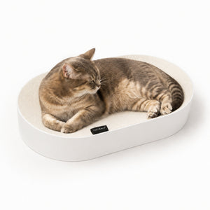 SCRATCHBED panier en carton