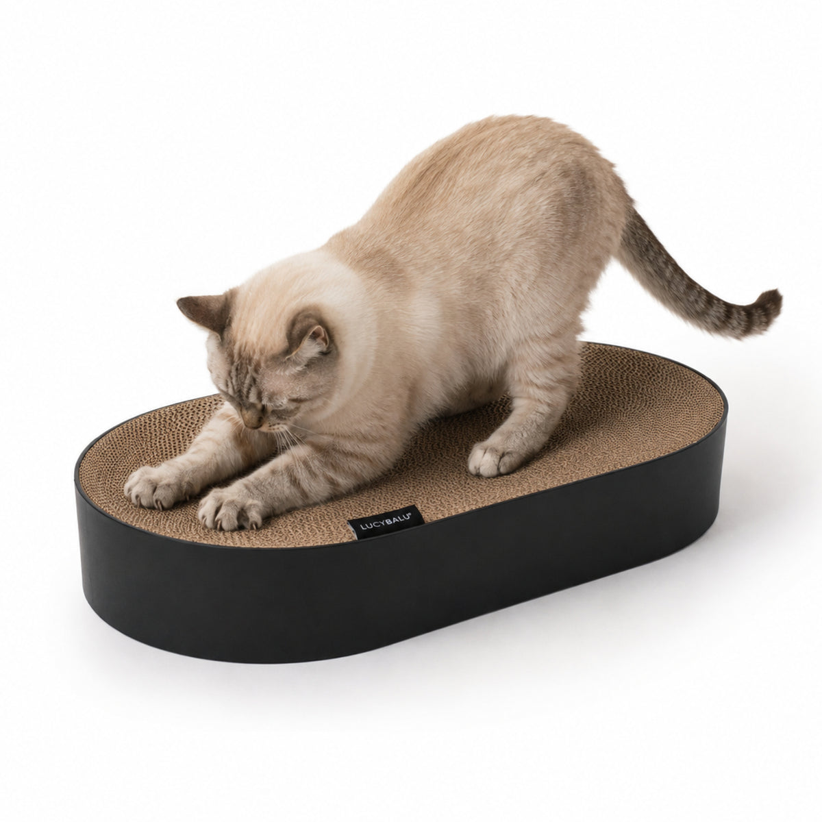 SCRATCHBED panier en carton