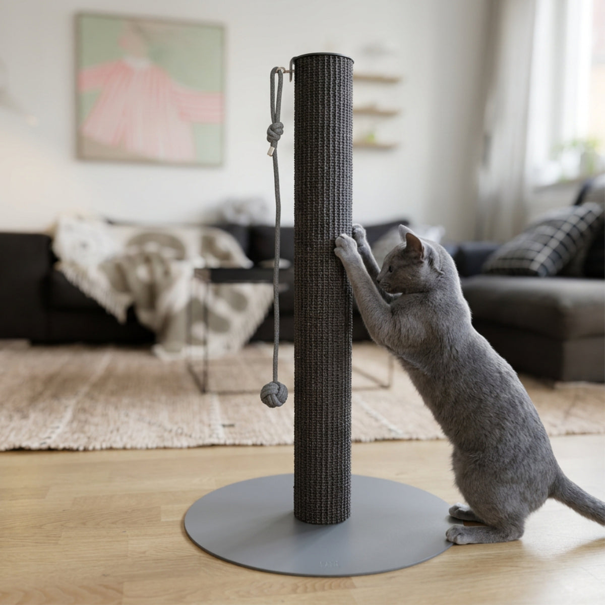 SCRATCHPOLE Kratzstamm in Sisal Anthrazit – Katze kratzt daran im Wohnzimmer