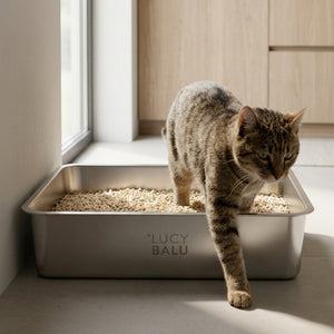 STEELOO Katzentoilette