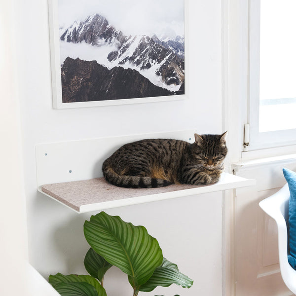 Étagère murale STRAIGHT en blanc avec coussin en feutre sable – un chat dormant au mur à côté d'une image de montagne.