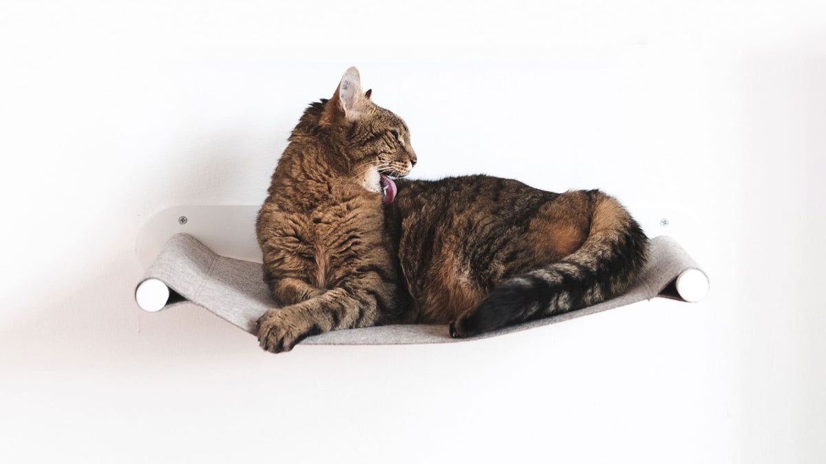 SWING Katzenhängematte