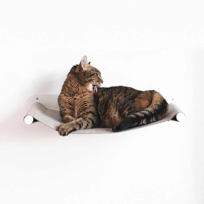 SWING Katzenhängematte