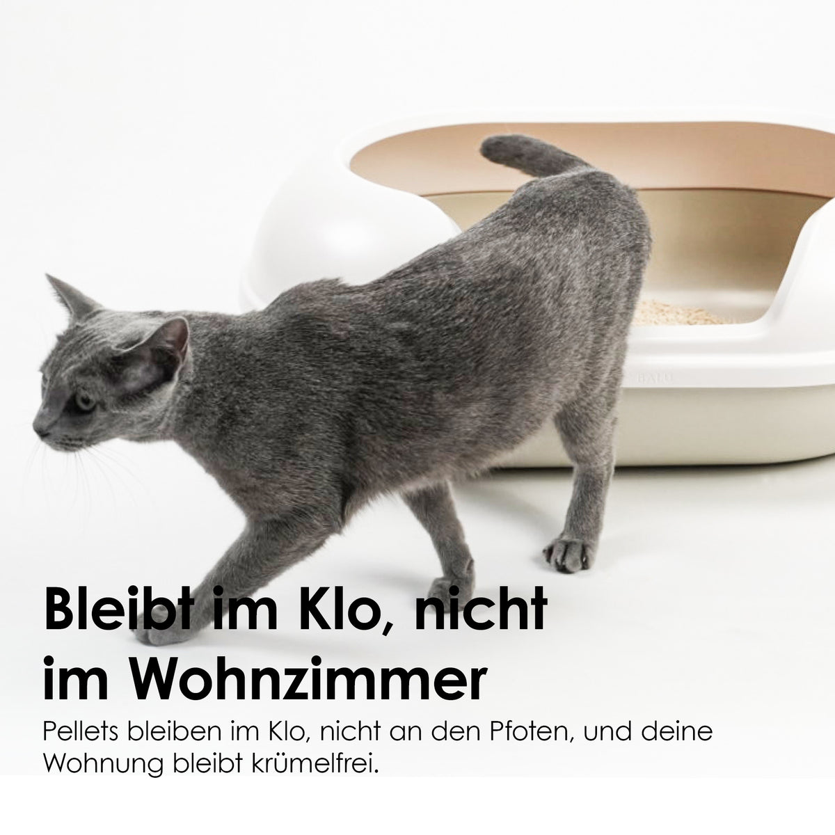 TOFU Katzenstreu