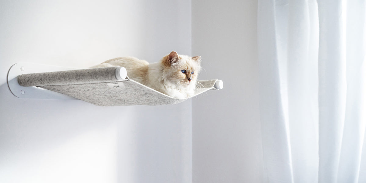 Unsere Mission: Das Leben mit Katze schöner machen.