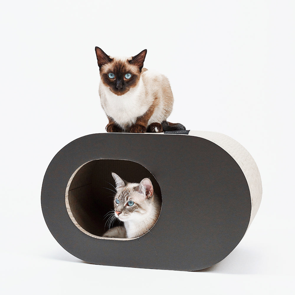 Niche en carton pour chat PAPERCAVE noire, chat siamois assis dessus et second chat qui regarde par l'ouverture